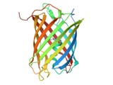 GFP-like non-fluorescent chromoproteins