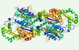 Acid phosphatase activity assay