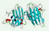 Superoxide dismutase activity assay