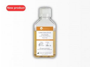 New Gamma Irradiated Human Platelet Lysate