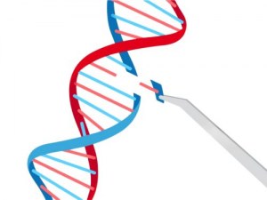 CRISPR-Cas Systems: Revolutionizing Genome Editing Technology