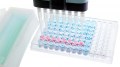  Enhanced Precision with High Sensitivity ELISA Kits