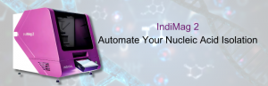 Discover the benchtop powerhouse for automated nucleic acid isolation