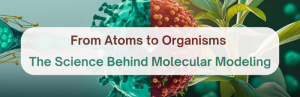 From Atoms to Living Organisms: New in silico modeling solutions