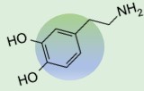 Dopamine