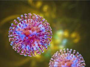 Últimas novedades sobre el metapneumovirus humano (HMPV) para sus necesidades de investigación