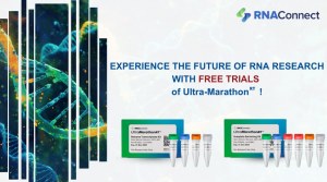 Realice mejor su RT-PCR de forma gratuita, ¡Pruebe nuestro Marathon RT!  