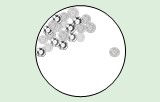 Test di apoptosi con citometria a flusso