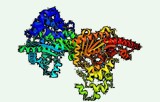 Creatine kinase activity assay