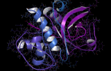 Kinase activity assays 