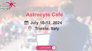 2024-07-11 - IT - Trieste - Astrocyte Cafe seminar 
