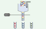 Flow Cytometrie