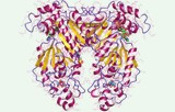 PhosphoSens kinase activity assay