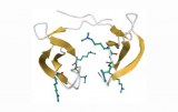 Antimicrobial peptides