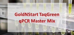 Bekijk de baanbrekende SYBR®Green qPCR Master Mix