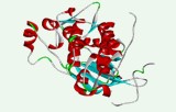 Tyrosine kinase activity assay