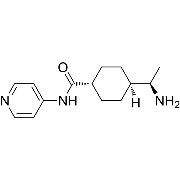 Y-27632 Estructura química