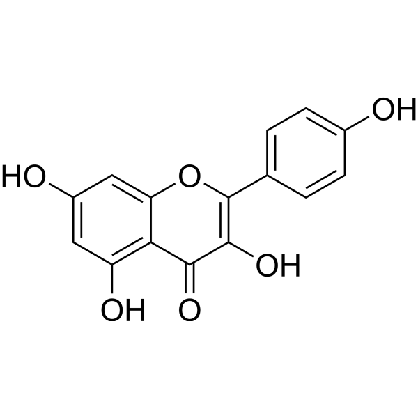 Kaempferol Chemical Structure