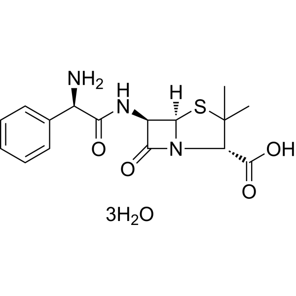 Ampicillin trihydrate Chemische Struktur