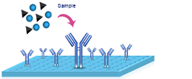 elisa assay procedure 1