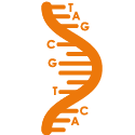 Primer Synthesis Service