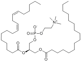 Phosphatidylcholine Structure