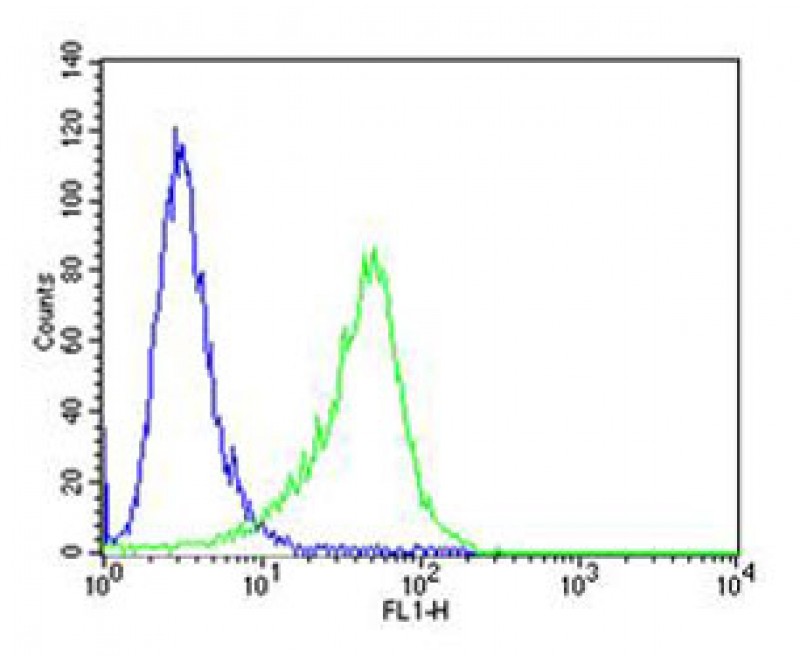 FC - CF150 Antibody  (Center) AP10510c