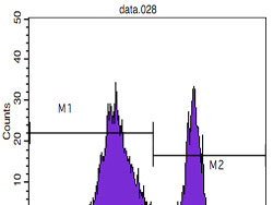 FC - CD4 Antibody AO1007a