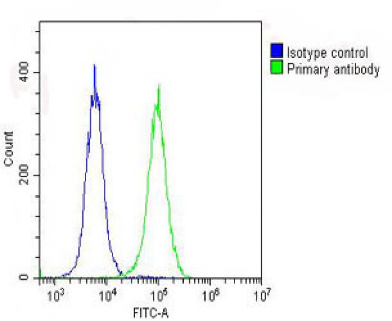 FC - RPS7 Antibody (C-Term) AP22078b