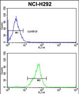 FC - TOB1 Antibody (N-term) AP8571a