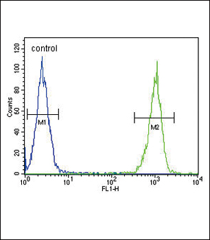 FC - LTF Antibody AP8698A