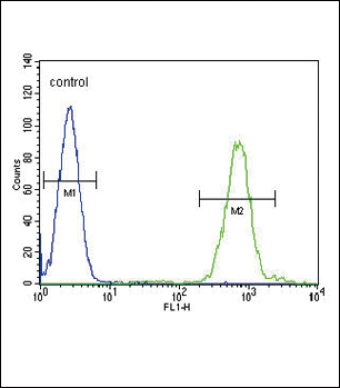 FC - SLC8A1 Antibody (Center) AP8939C