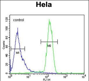 FC - TMEM173 Antibody (C-term) AP9747b