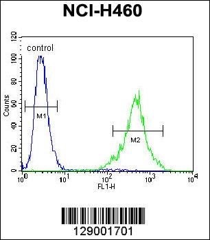 FC - FAM218A Antibody (C-term) AP11347b