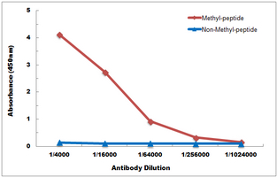 E - Anti-Histone H3 (DiMethyl-K4) Antibody AP61430