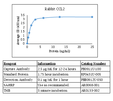 Rabbit CCL2 Standard Curve