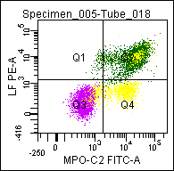 Flow cytometric analysis of normal blood leukocyte subpopulations after immunolabeling with GIC-212.