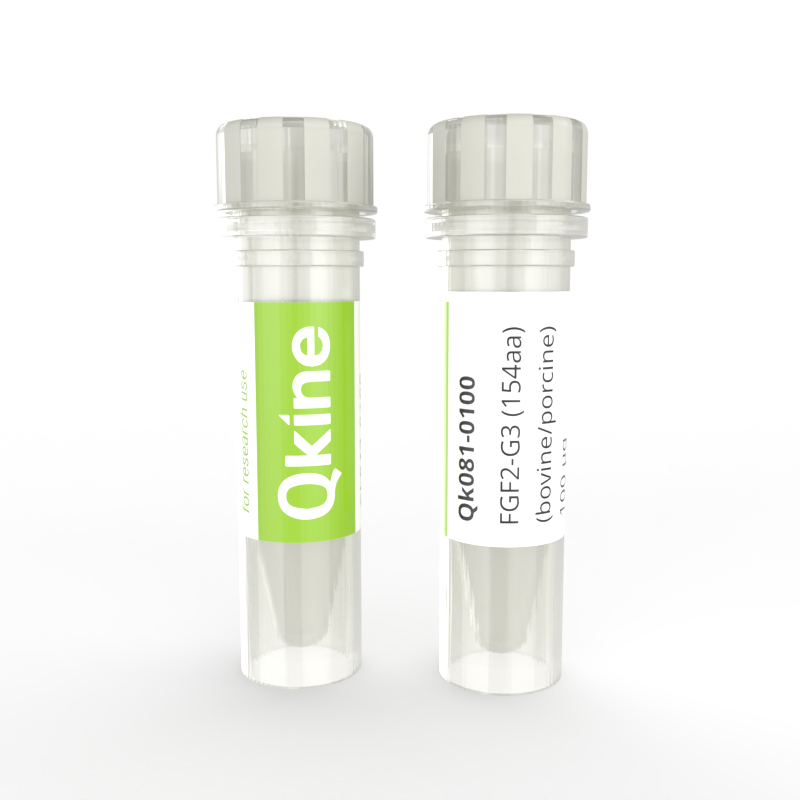 Qkine recombinant bovine/porcine FGF2-G3 154 aa protein vial