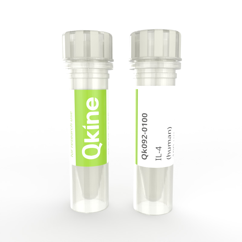 Qkine recombinant human IL-4 protein vial