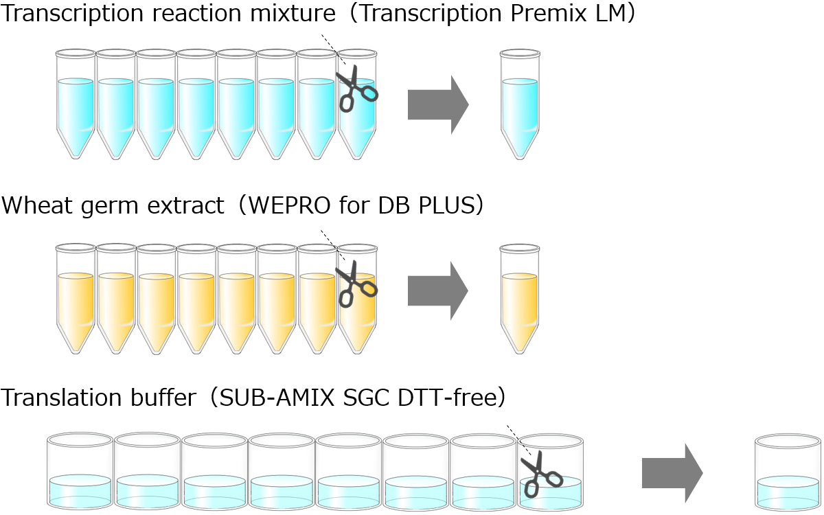 Disulfide Bond PLUS Expression Kit img 3 en