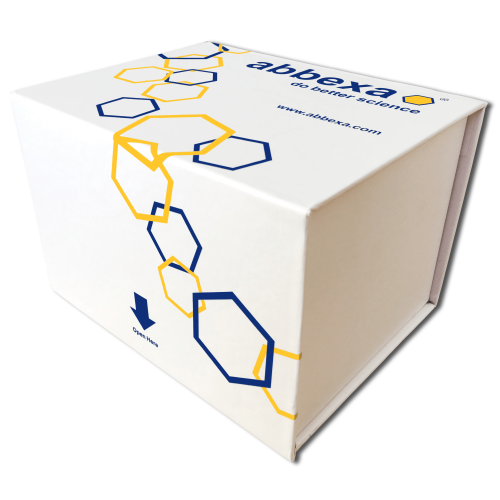 Glycerol Assay Kit