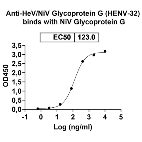 Nipah Virus Glycoprotein G (NiV G) Protein