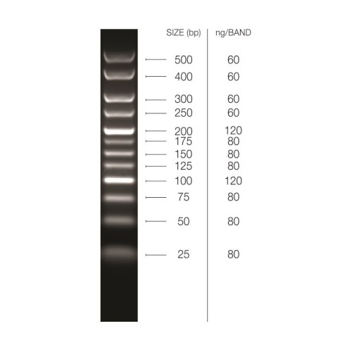 25-500 bp DNA Marker