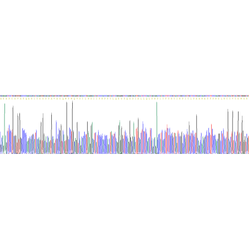 Human Protease, Serine 8 (PRSS8) Protein