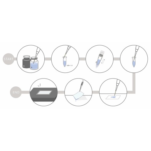 Flow chart of the reaction setup.