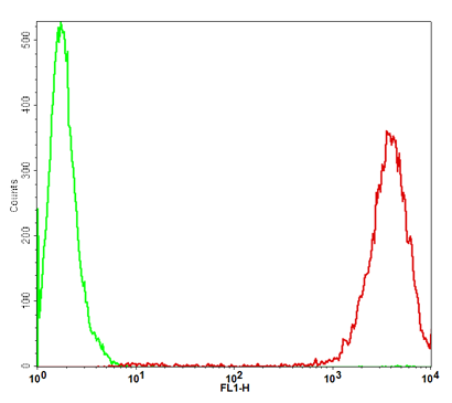 GFP/CHO-K1 Stable Cell Line