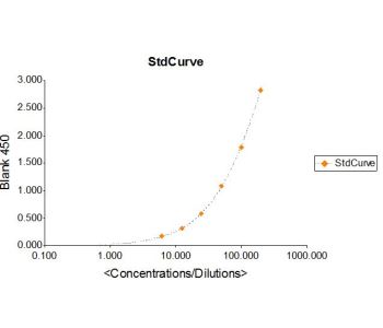 Enzyme-linked Immunoabsorbent Assay