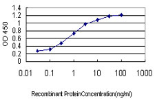 Sandwich ELISA (Recombinant protein)