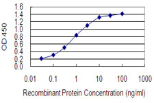 Sandwich ELISA (Recombinant protein)