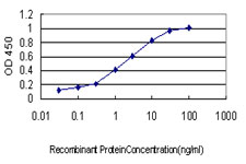 Sandwich ELISA (Recombinant protein)